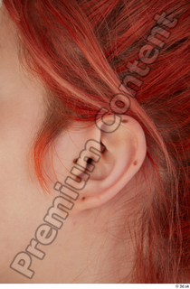 Photo Lady Winters ear 0001.jpg